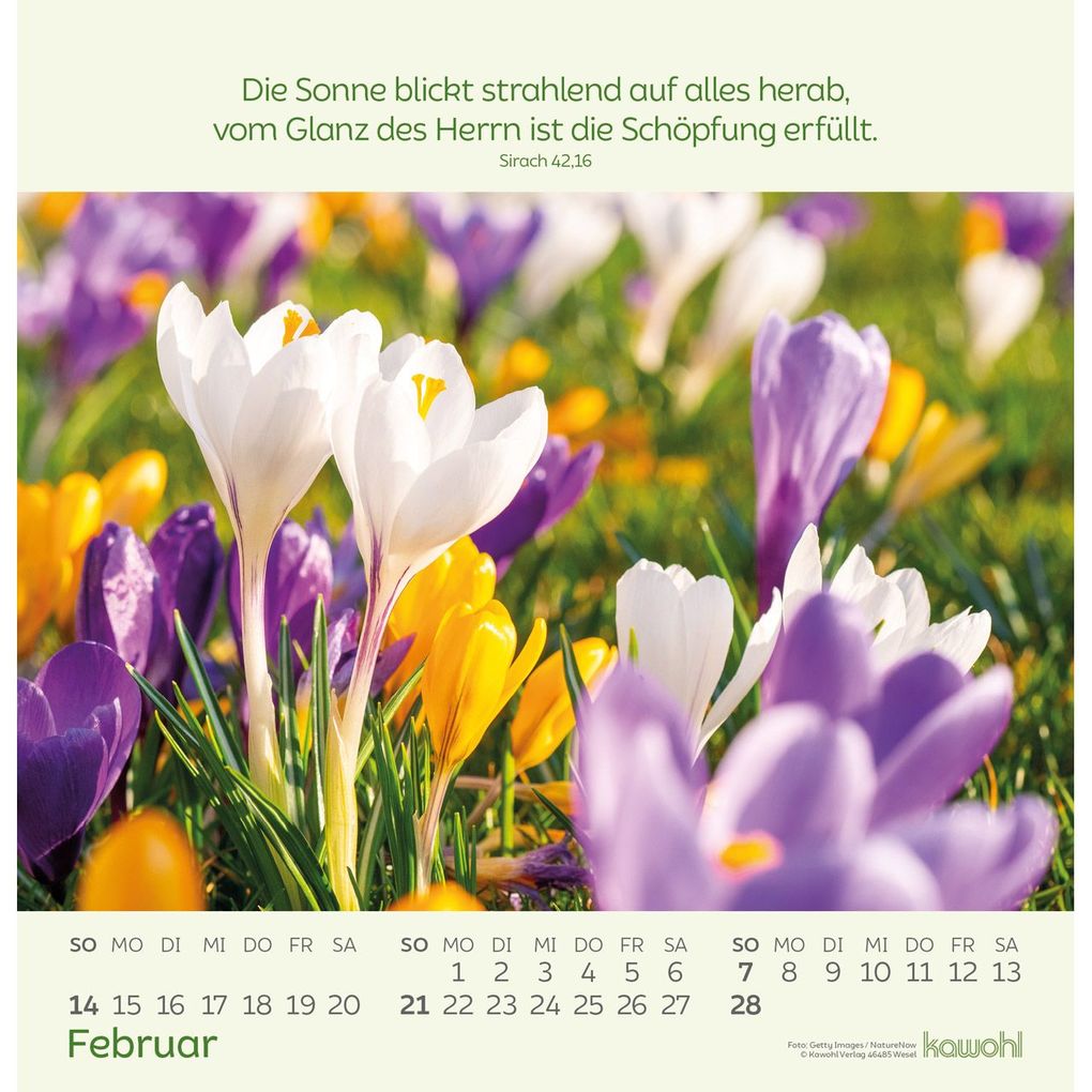 Weitere Ansicht: Blumengrüße 2027