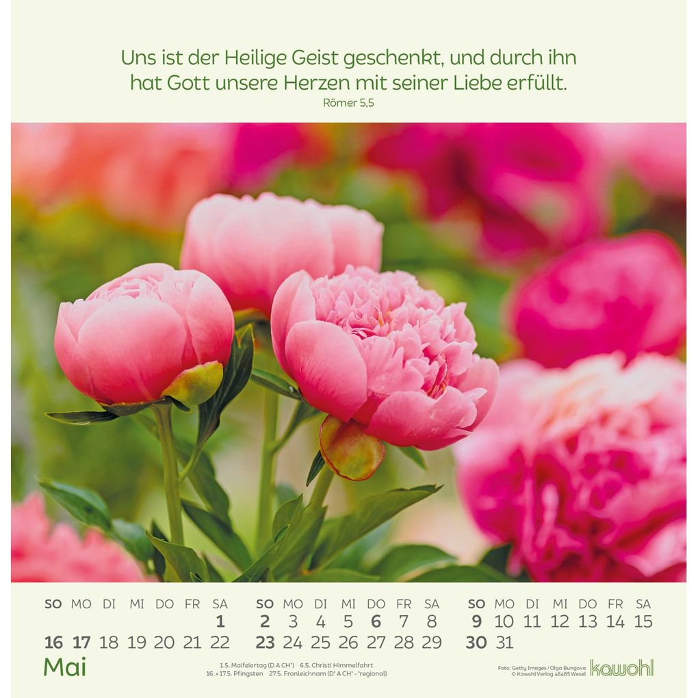 Weitere Ansicht: Blumengrüße 2027