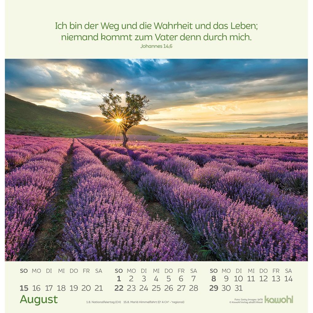 Weitere Ansicht: Blumengrüße 2027