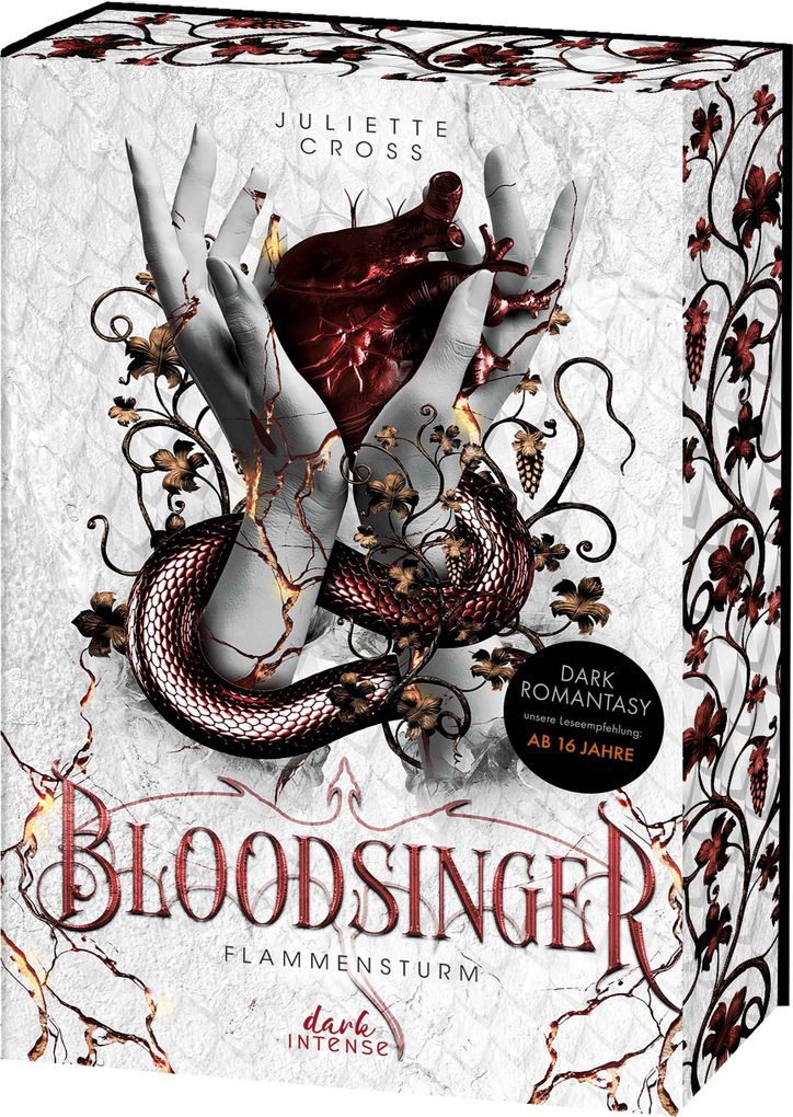 Weitere Ansicht: Flammensturm (Band 2) - Bloodsinger | Juliette Cross