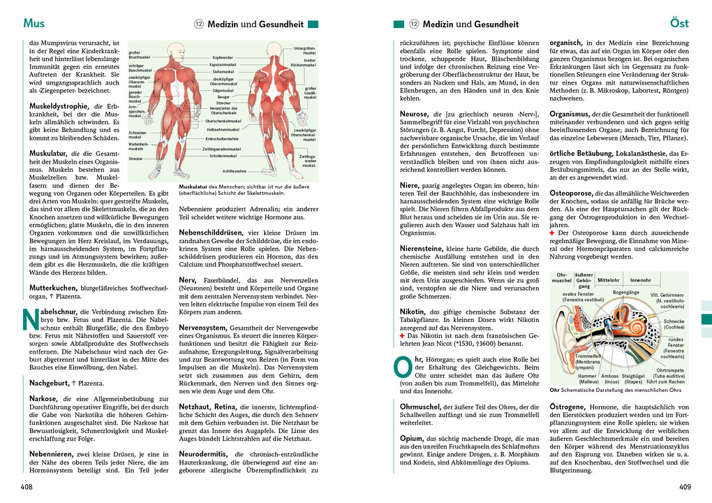 Weitere Ansicht: Das große Buch der Allgemeinbildung