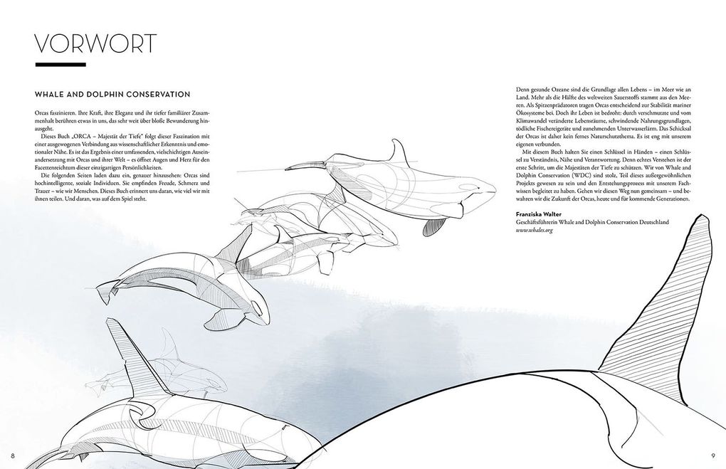 Weitere Ansicht: Orca | Elena Gossmann