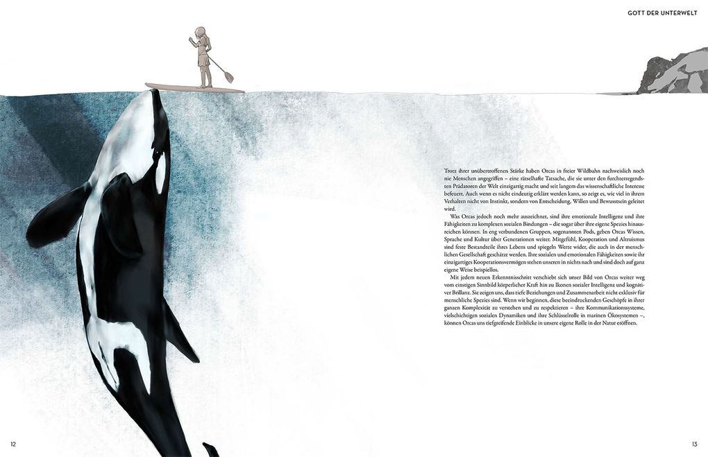 Weitere Ansicht: Orca | Elena Gossmann