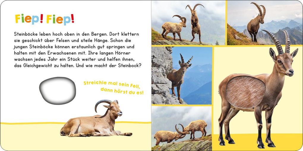 Weitere Ansicht: Hör mal rein, wer kann das sein? In den Bergen