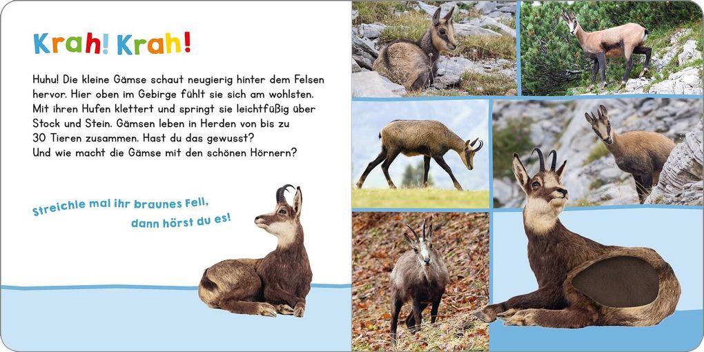 Weitere Ansicht: Hör mal rein, wer kann das sein? In den Bergen