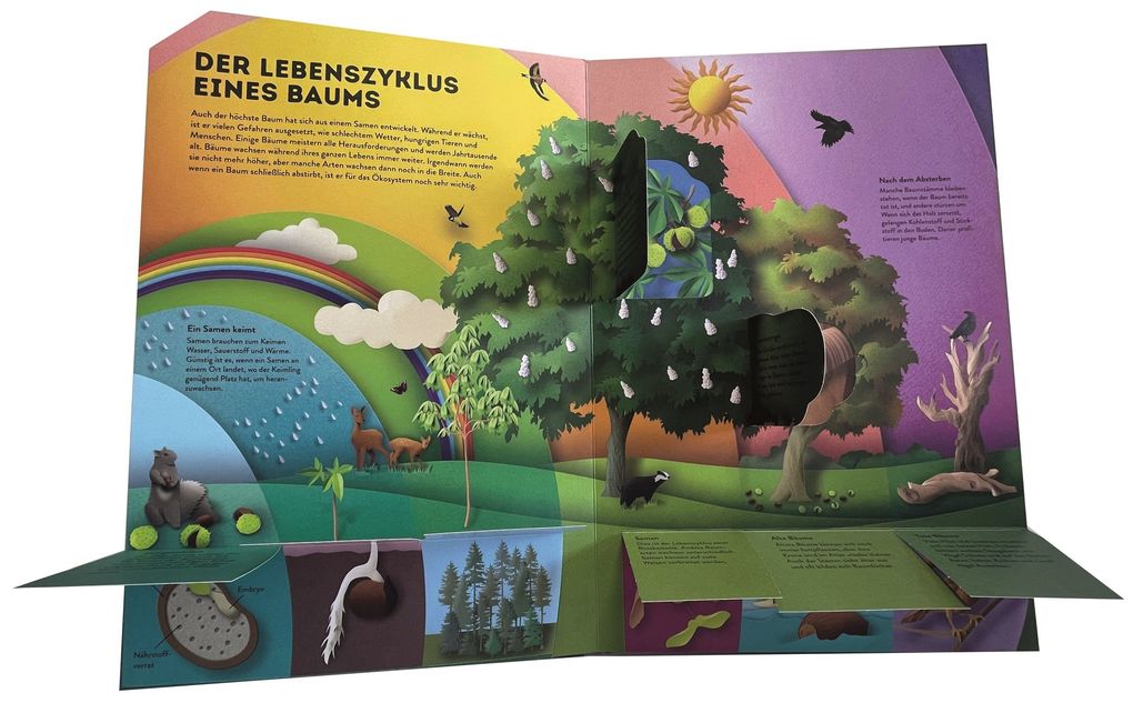 Weitere Ansicht: Wissenswelten. Bäume | Gail Armstrong