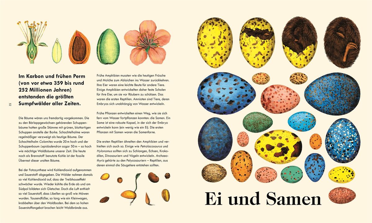 Weitere Ansicht: Das Wunder des Lebens | Henry Gee