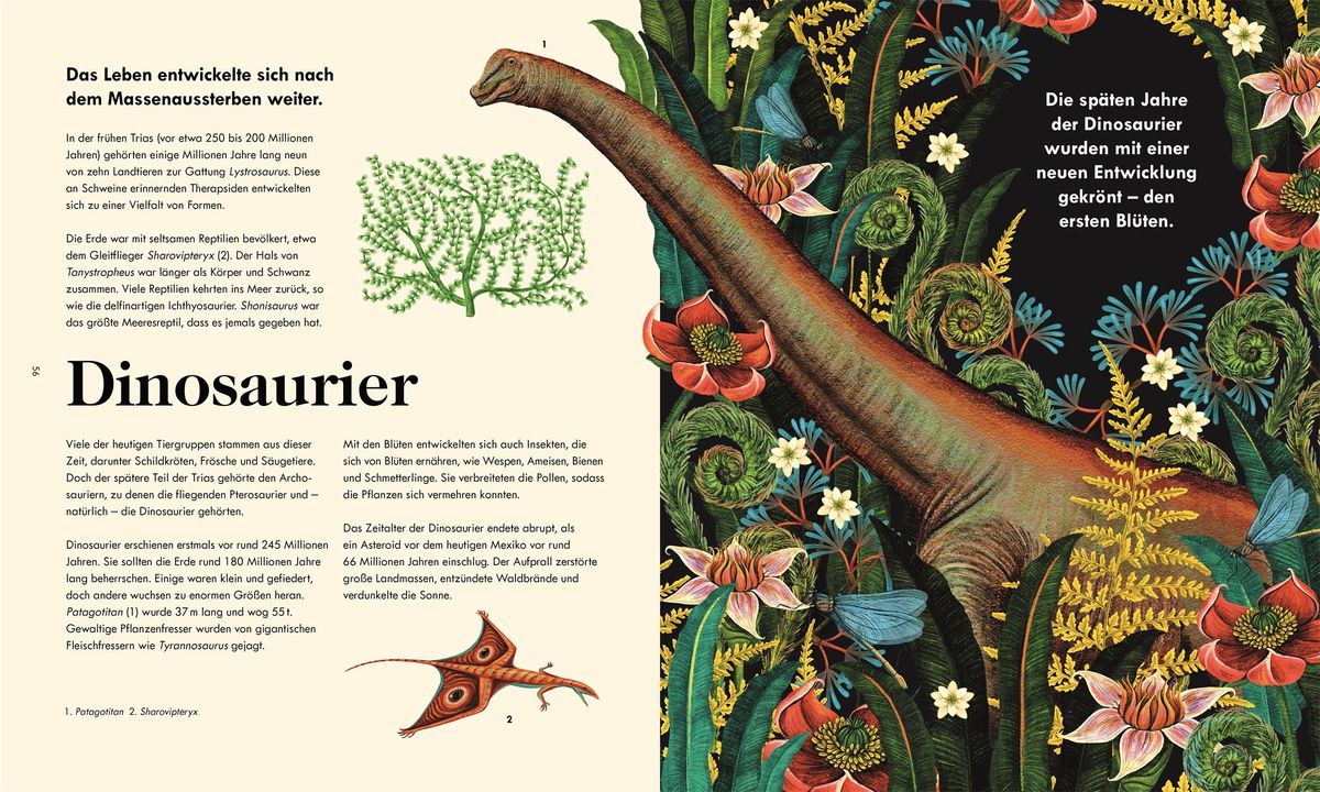 Weitere Ansicht: Das Wunder des Lebens | Henry Gee