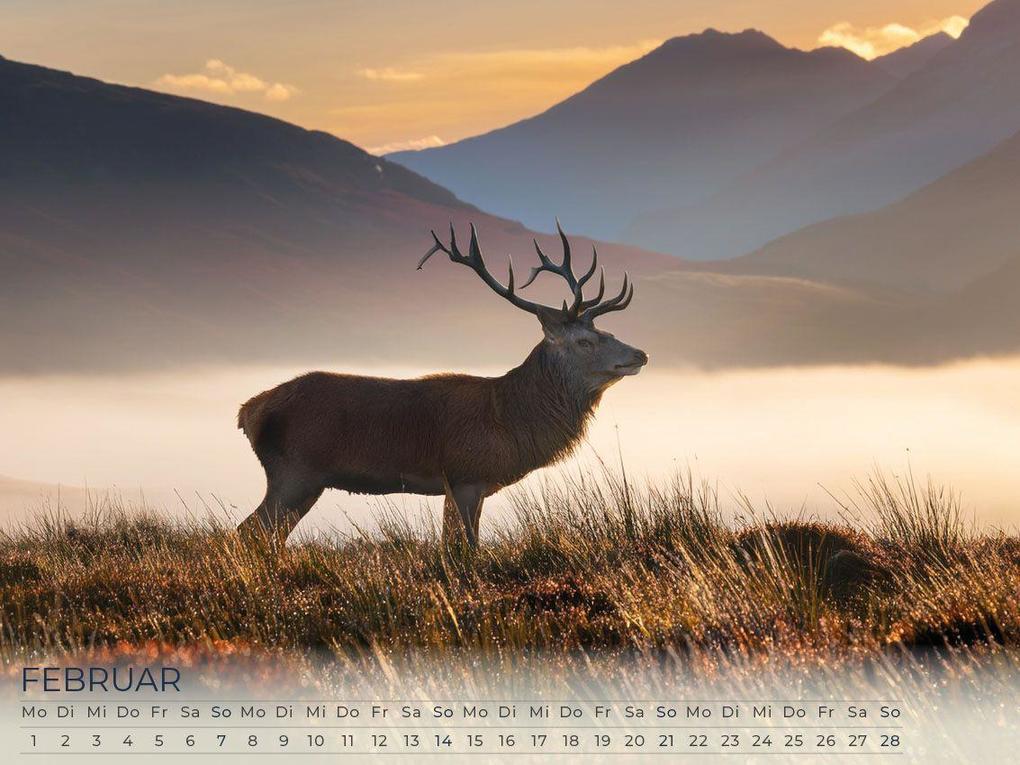 Weitere Ansicht: Faszination Schottland Kalender 2027 | Susanne Pommer, Frank Pommer