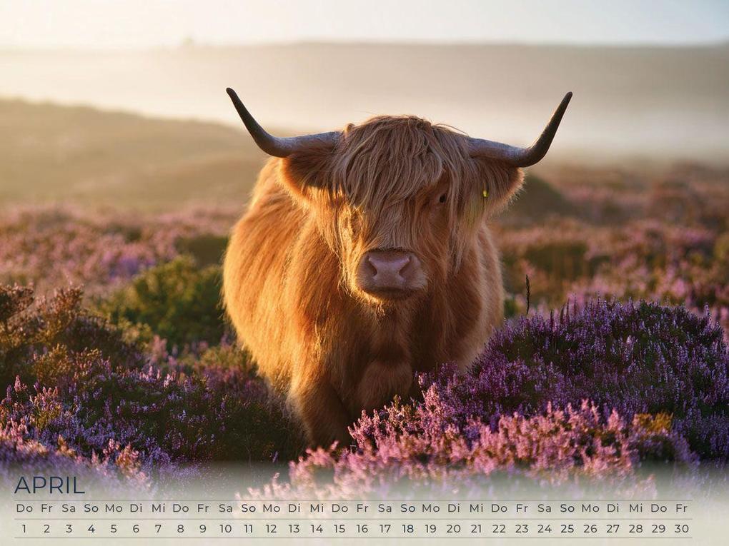 Weitere Ansicht: Faszination Schottland Kalender 2027 | Susanne Pommer, Frank Pommer