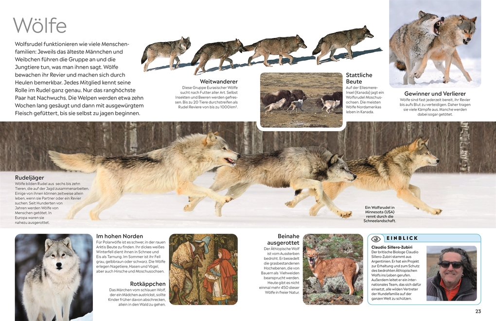 Weitere Ansicht: memo Wissen. Hunde | Juliet Clutton-Brock