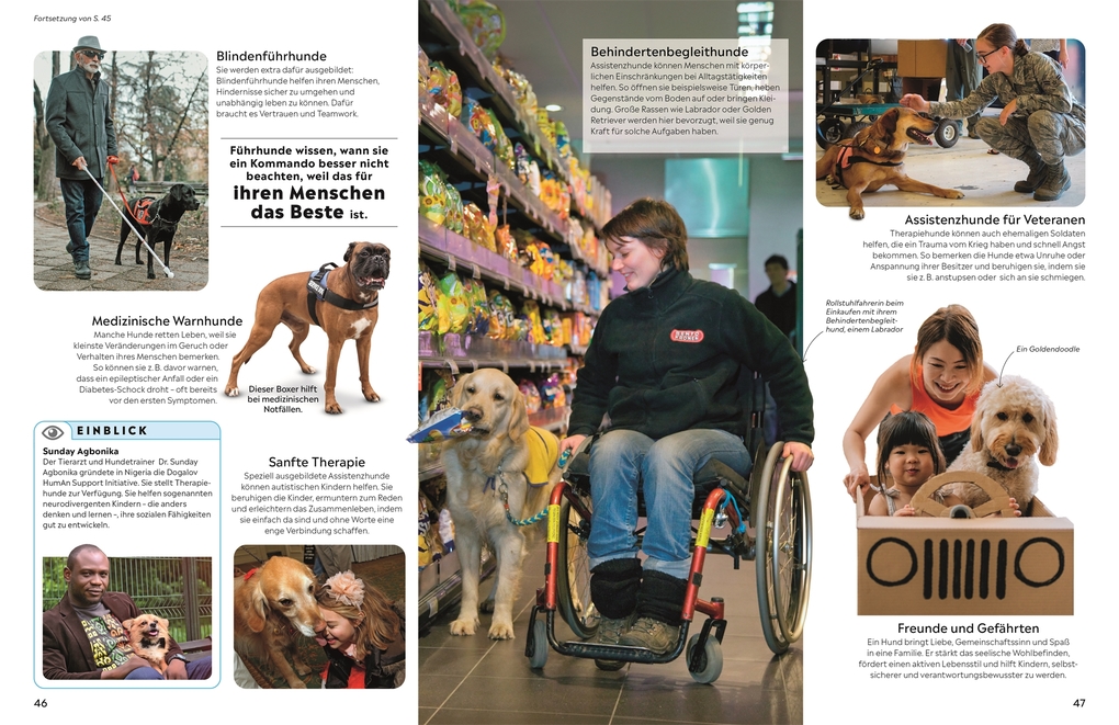 Weitere Ansicht: memo Wissen. Hunde | Juliet Clutton-Brock