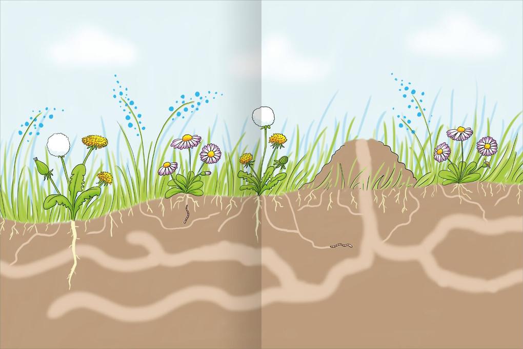 Weitere Ansicht: Erstes Stickern - Im Wald
