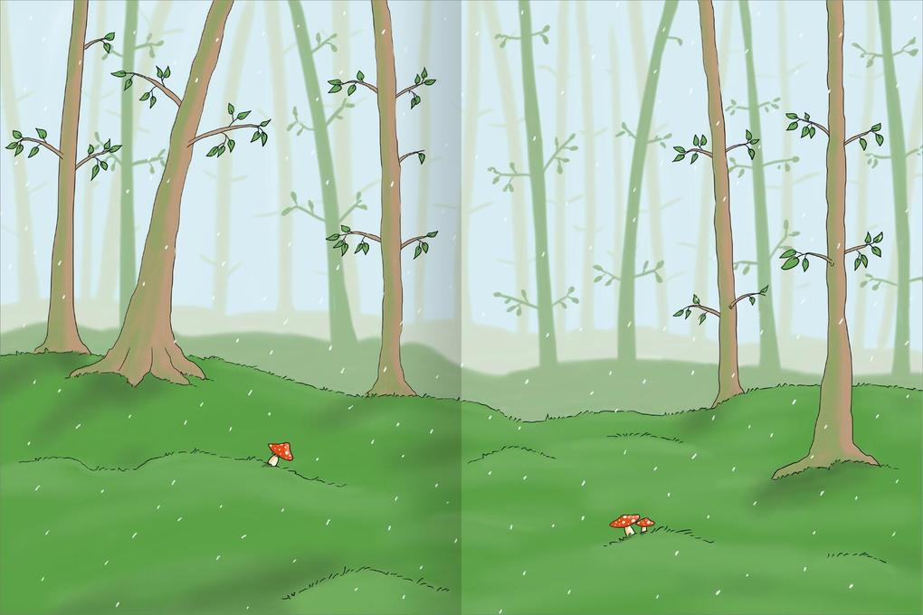 Weitere Ansicht: Erstes Stickern - Im Wald