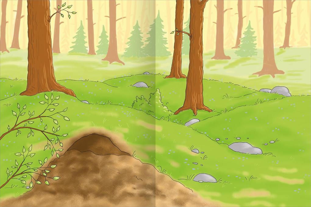 Weitere Ansicht: Erstes Stickern - Im Wald