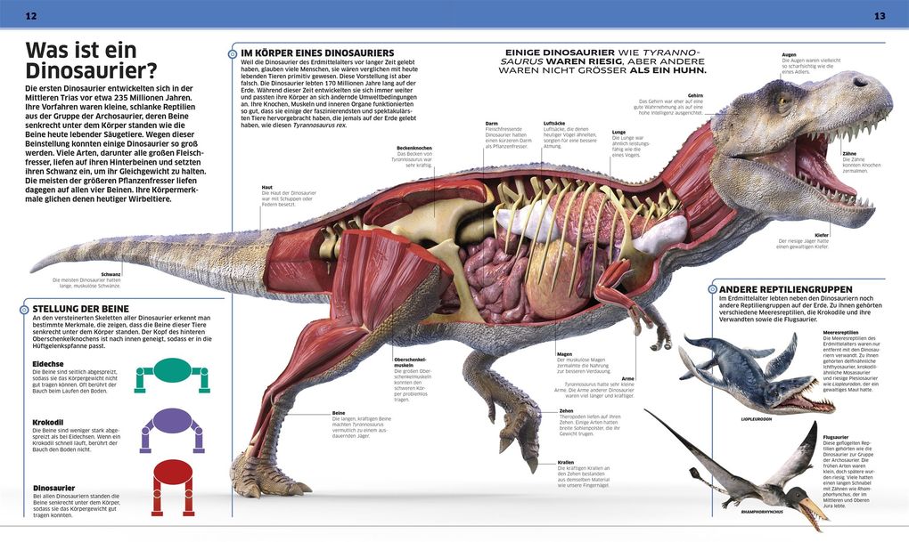 Weitere Ansicht: DK Wissen. Dinosaurier | John Woodward