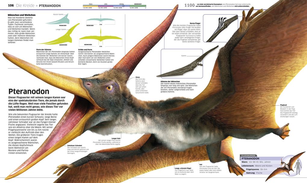 Weitere Ansicht: DK Wissen. Dinosaurier | John Woodward