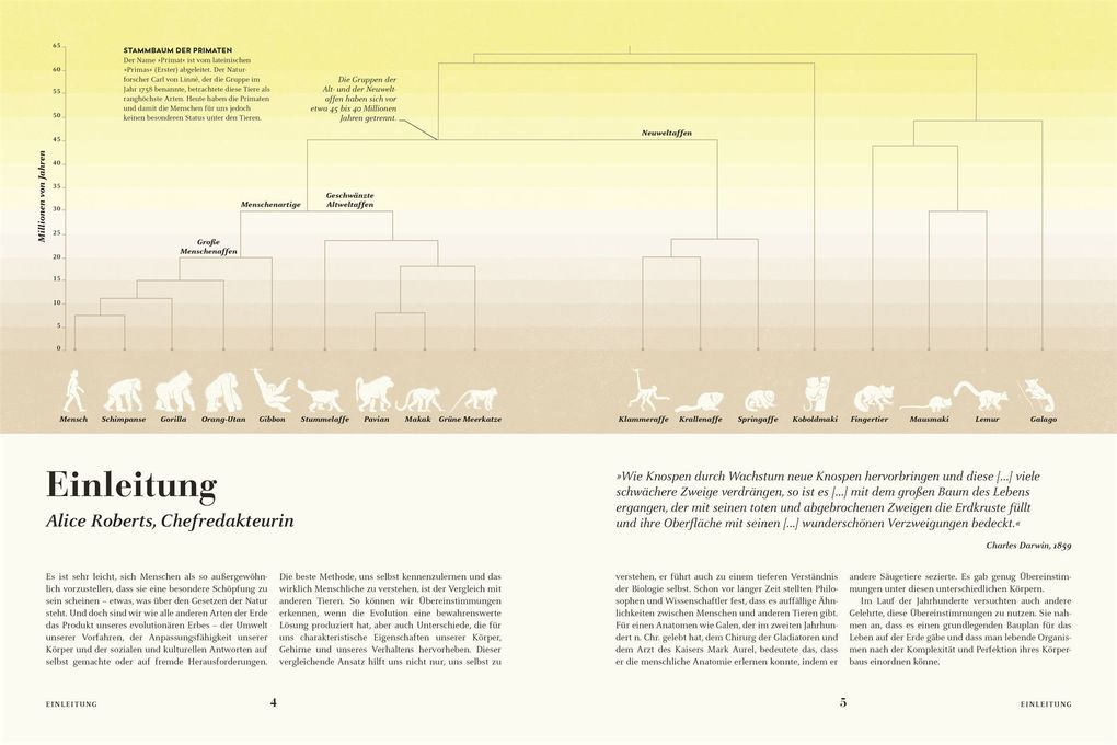 Weitere Ansicht: HUMANS. Der Mensch | Derek Harvey, Emily Tarrega-Saunders, Mark Maslin, Sally Reynolds, Erika Matthews