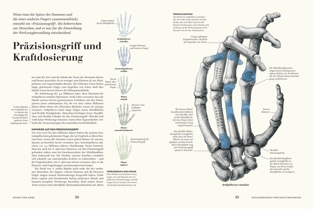 Weitere Ansicht: HUMANS. Der Mensch | Derek Harvey, Emily Tarrega-Saunders, Mark Maslin, Sally Reynolds, Erika Matthews