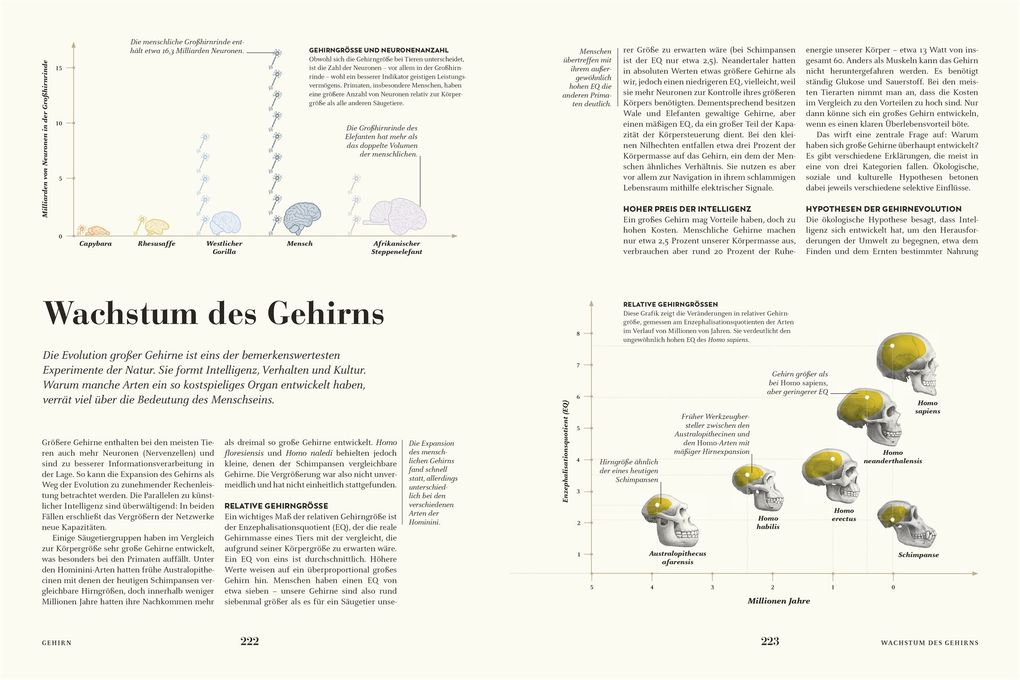 Weitere Ansicht: HUMANS. Der Mensch | Derek Harvey, Emily Tarrega-Saunders, Mark Maslin, Sally Reynolds, Erika Matthews
