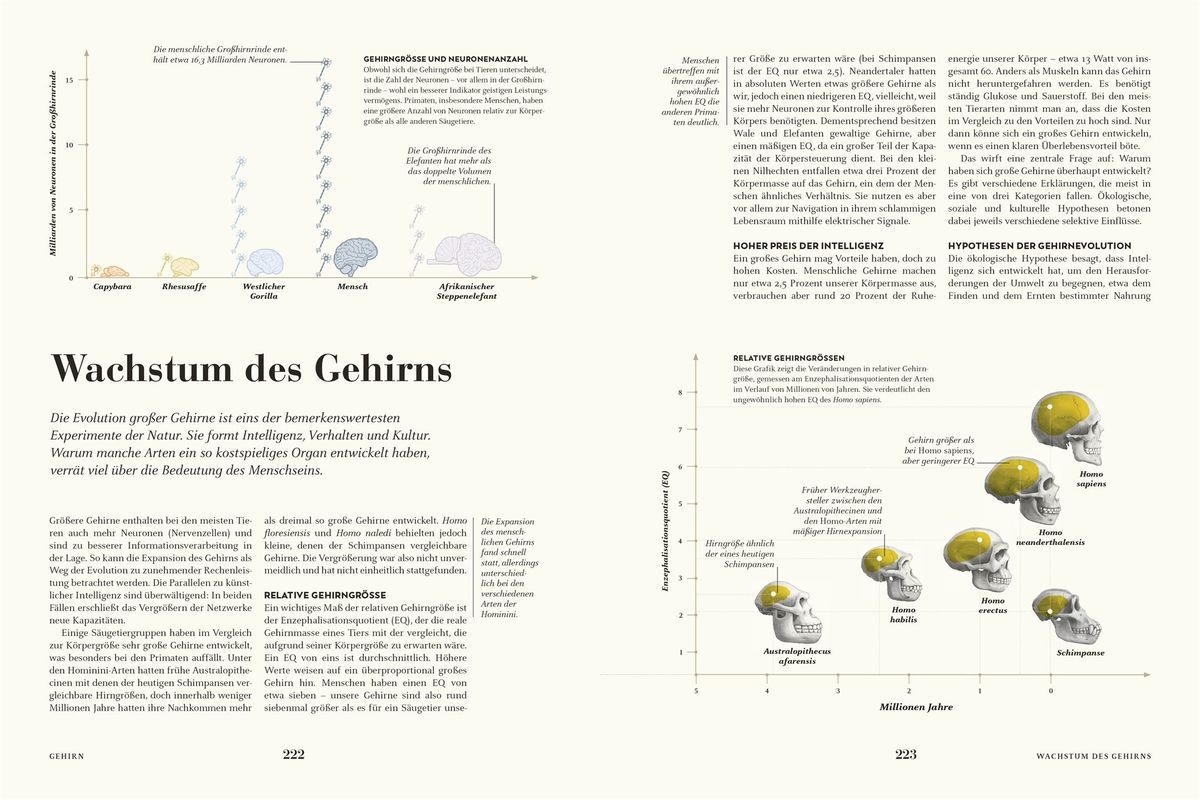 Weitere Ansicht: HUMANS. Der Mensch | Derek Harvey, Emily Tarrega-Saunders, Mark Maslin, Sally Reynolds, Erika Matthews