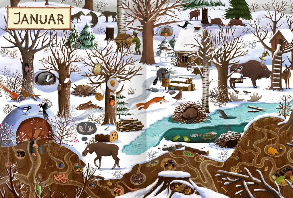 Weitere Ansicht: Ein Jahr im Wald