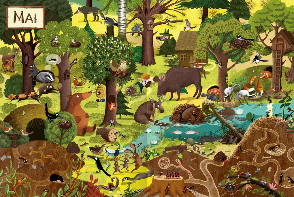 Weitere Ansicht: Ein Jahr im Wald