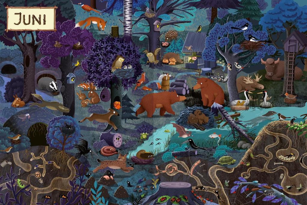 Weitere Ansicht: Ein Jahr im Wald