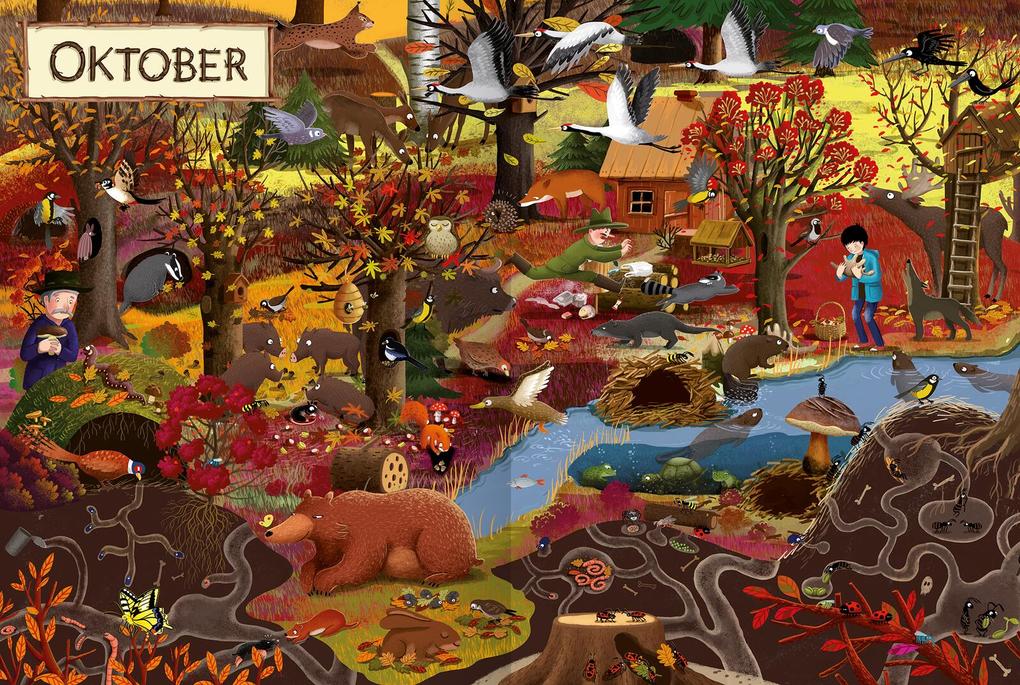 Weitere Ansicht: Ein Jahr im Wald