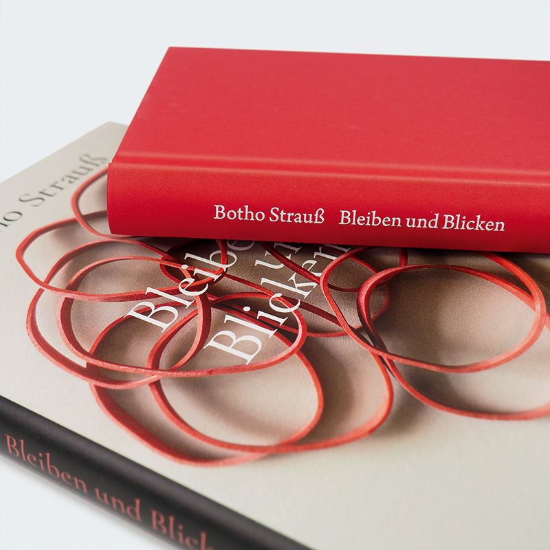 Weitere Ansicht: Bleiben und Blicken | Botho Strauß
