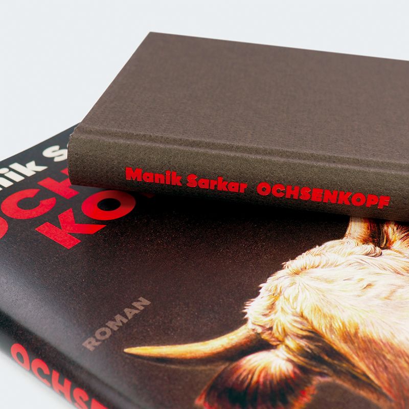 Weitere Ansicht: Ochsenkopf | Manik Sarkar