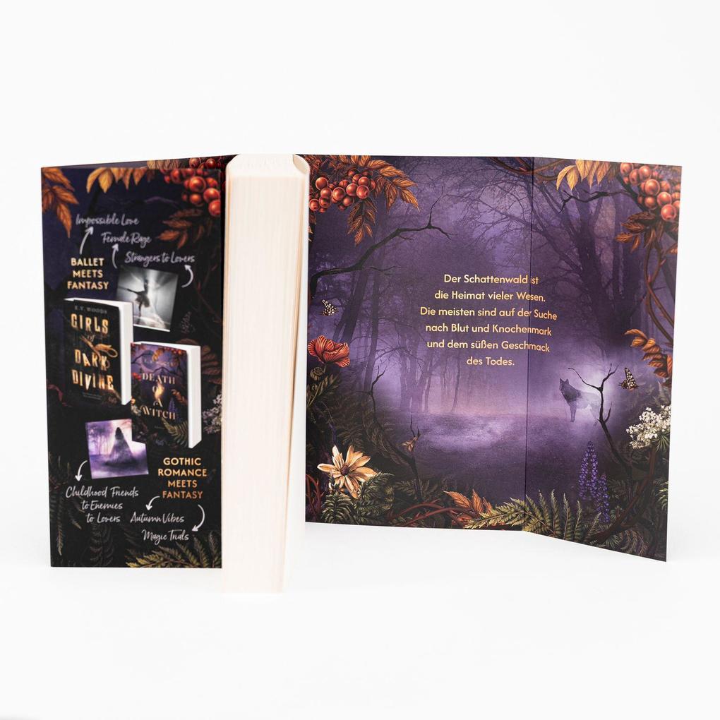 Weitere Ansicht: Death of a Witch | E. V. Woods