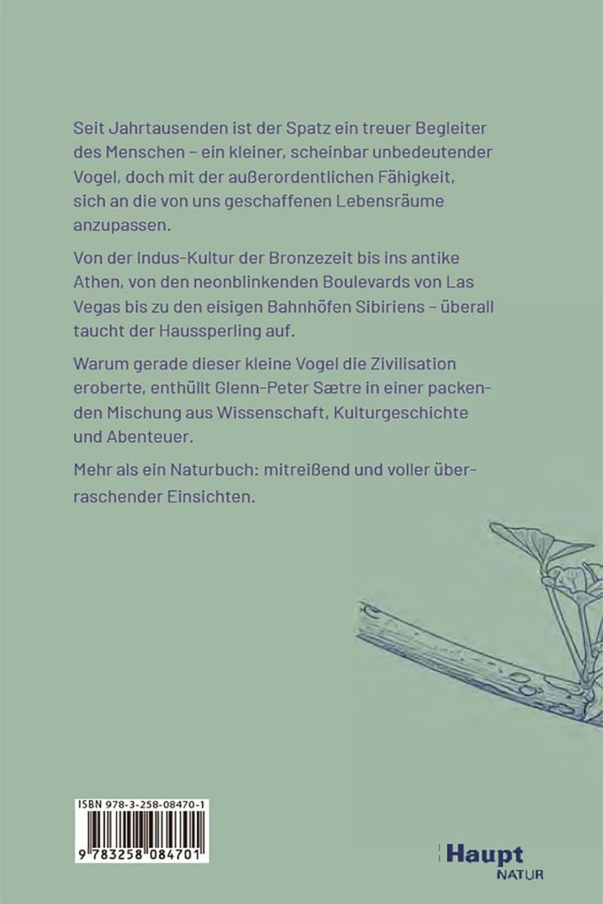 Weitere Ansicht: Der Spatz | Glenn-Peter Saetre, Glenn-Peter Sætre