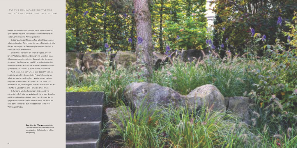 Weitere Ansicht: Natur, Ästhetik, Design | Peter Berg