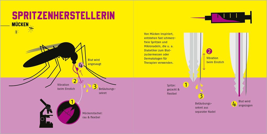 Weitere Ansicht: Naturtalente | Esther Gonstalla