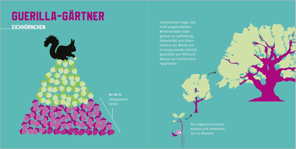 Weitere Ansicht: Naturtalente | Esther Gonstalla