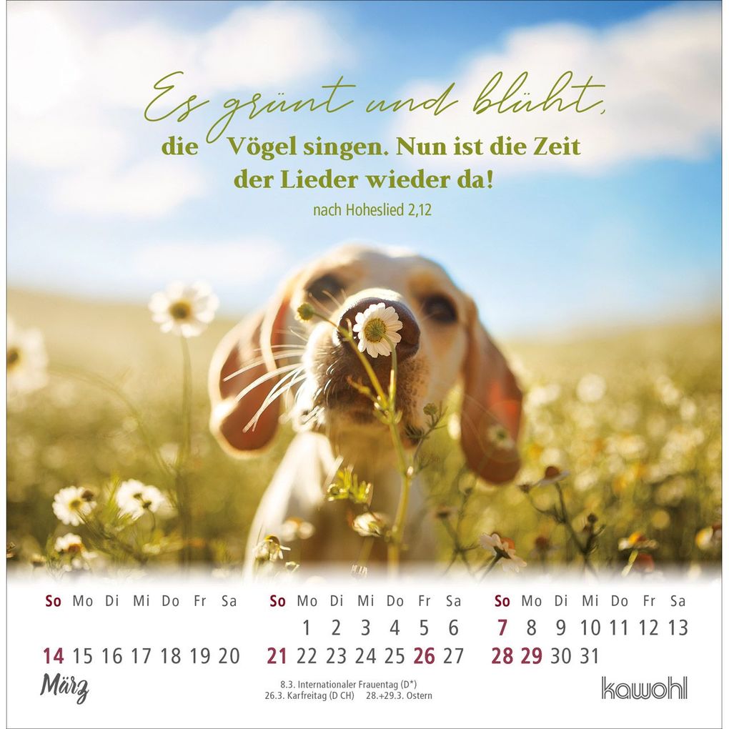 Weitere Ansicht: Ankommen & leben 2027