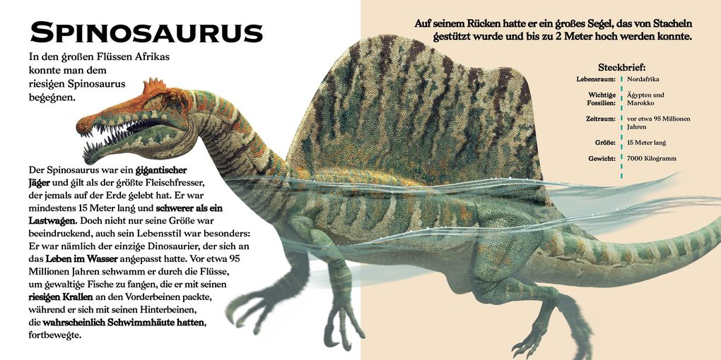 Weitere Ansicht: Konturenpuzzle T-Rex