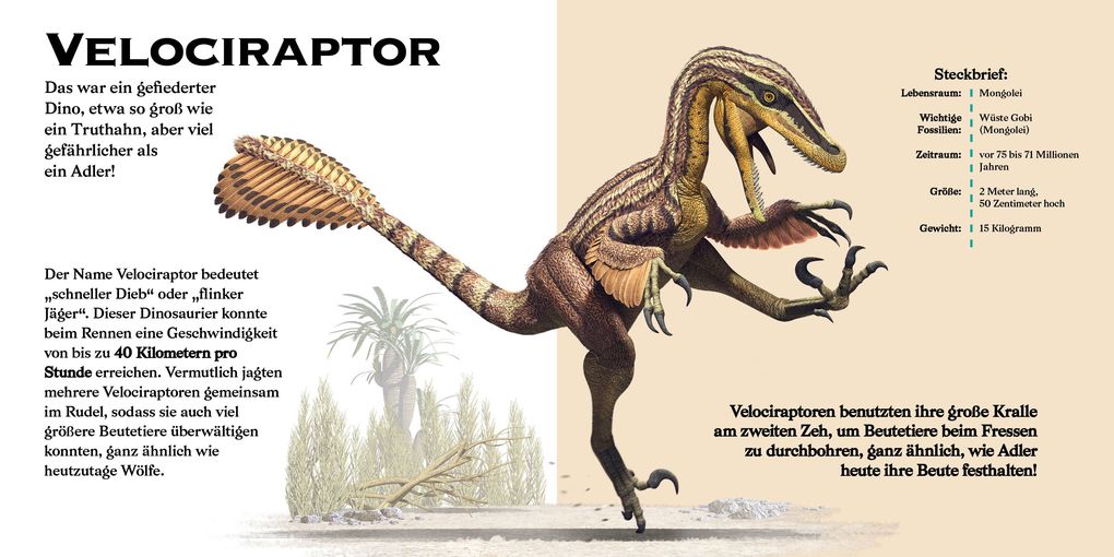 Weitere Ansicht: Konturenpuzzle T-Rex