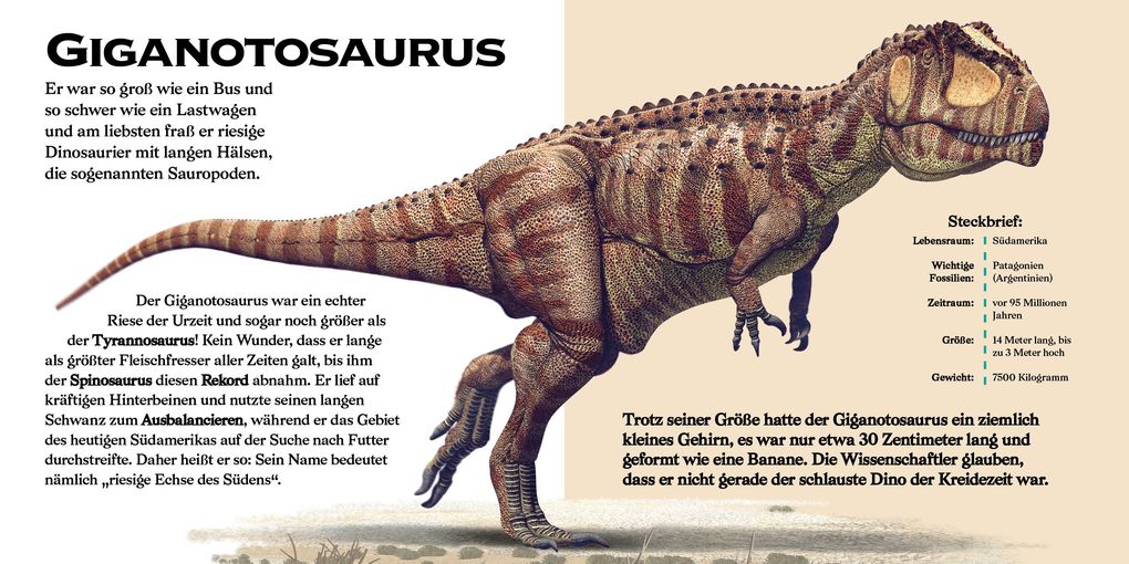 Weitere Ansicht: Konturenpuzzle T-Rex