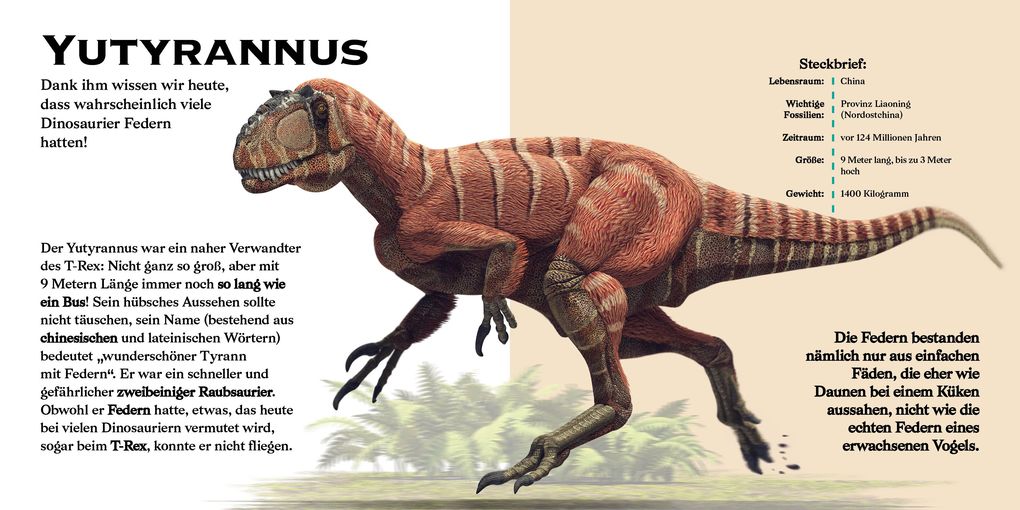 Weitere Ansicht: Konturenpuzzle T-Rex