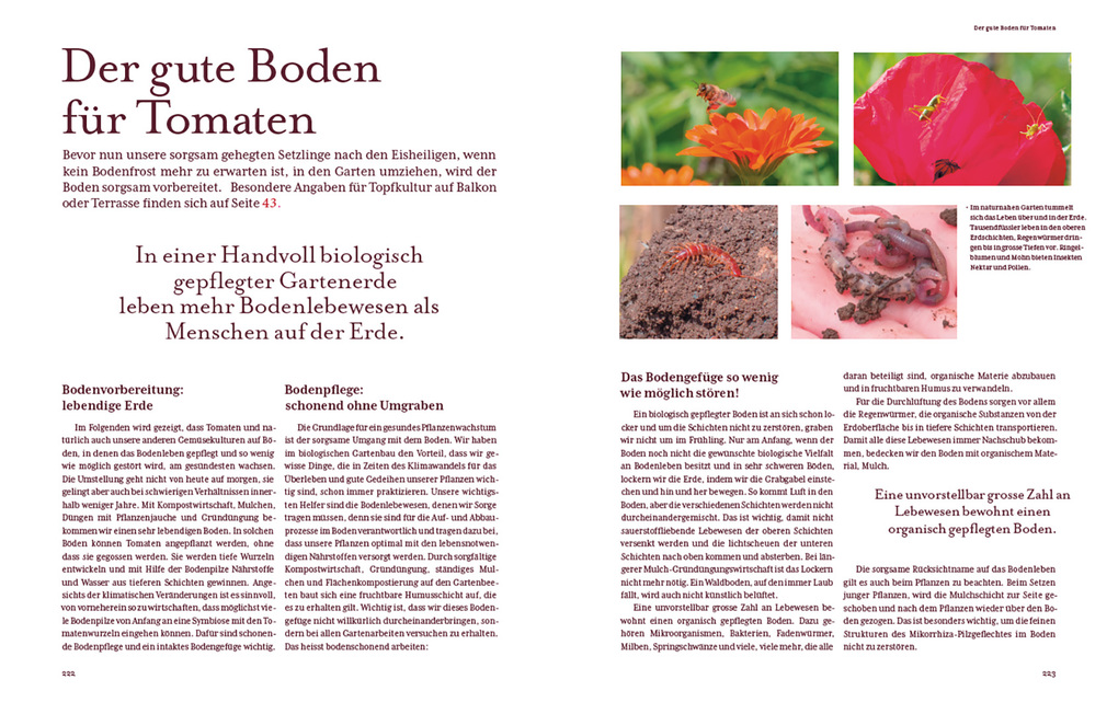 Weitere Ansicht: Tomatenglück | Ute Studer