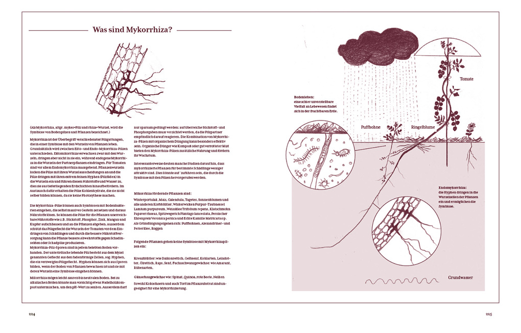 Weitere Ansicht: Tomatenglück | Ute Studer