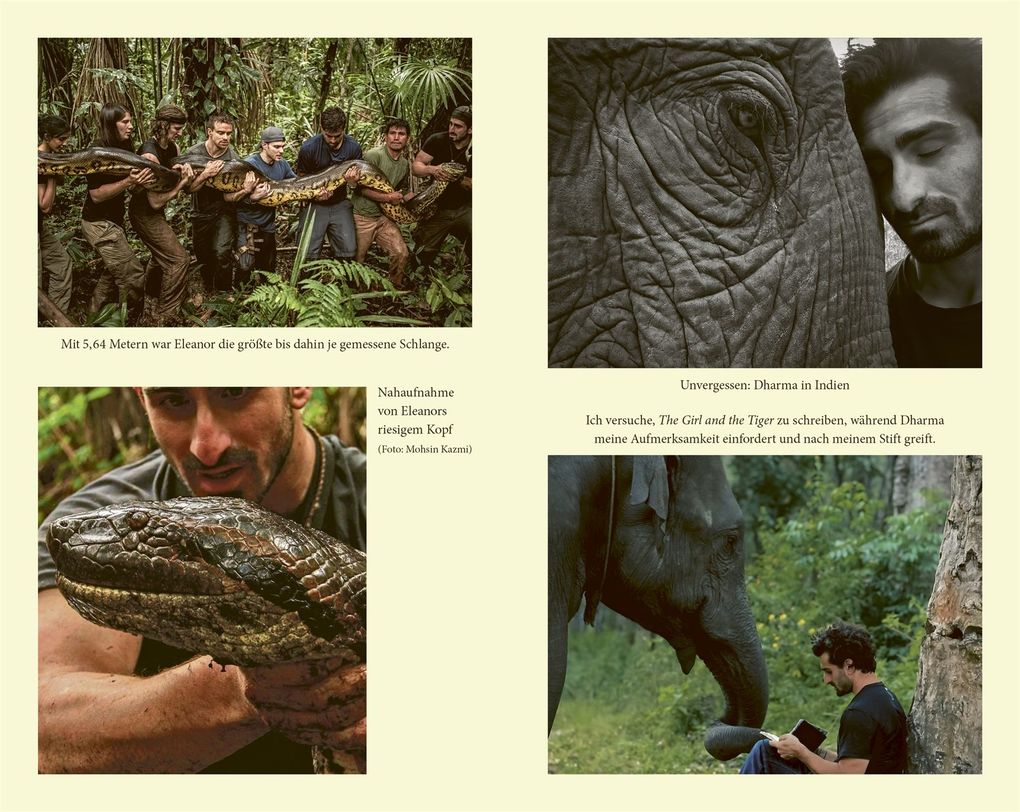 Weitere Ansicht: Into the Jungle | Paul Rosolie
