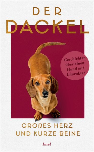 Produktbild: Der Dackel. Großes Herz und kurze Beine.