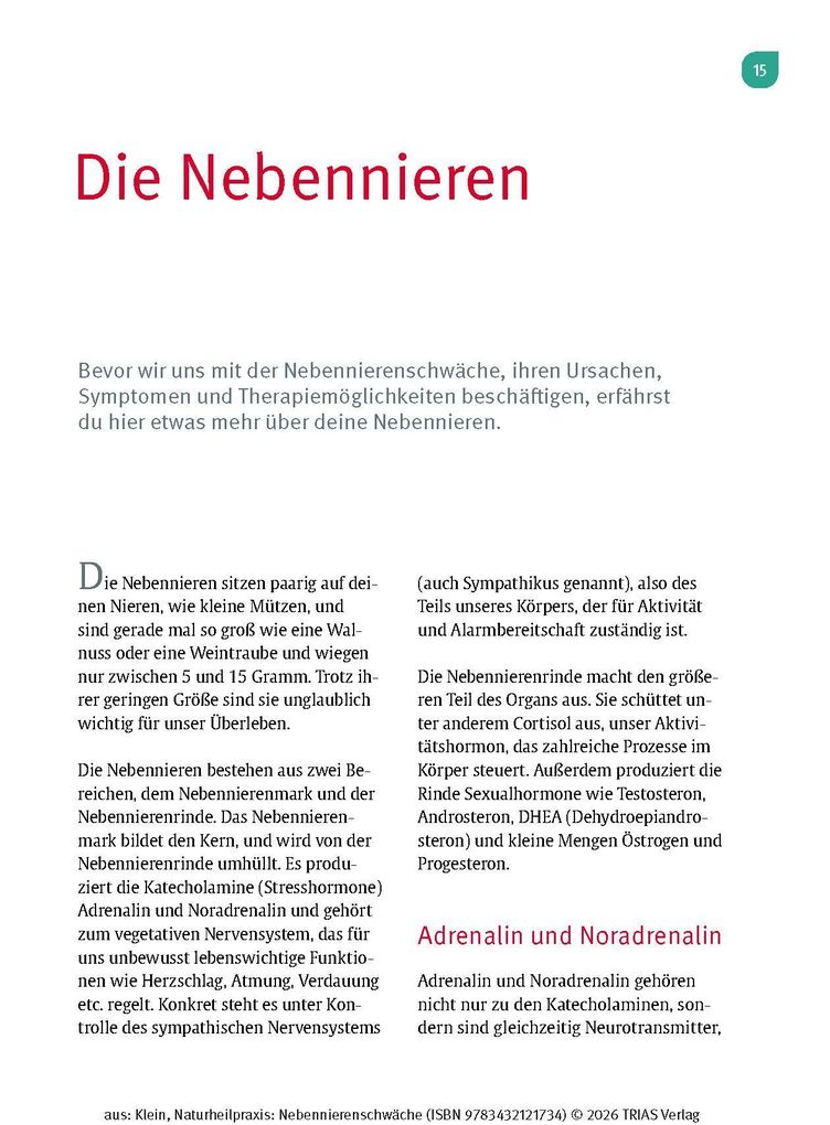 Weitere Ansicht: Naturheilpraxis Nebennierenschwäche | Diana Klein