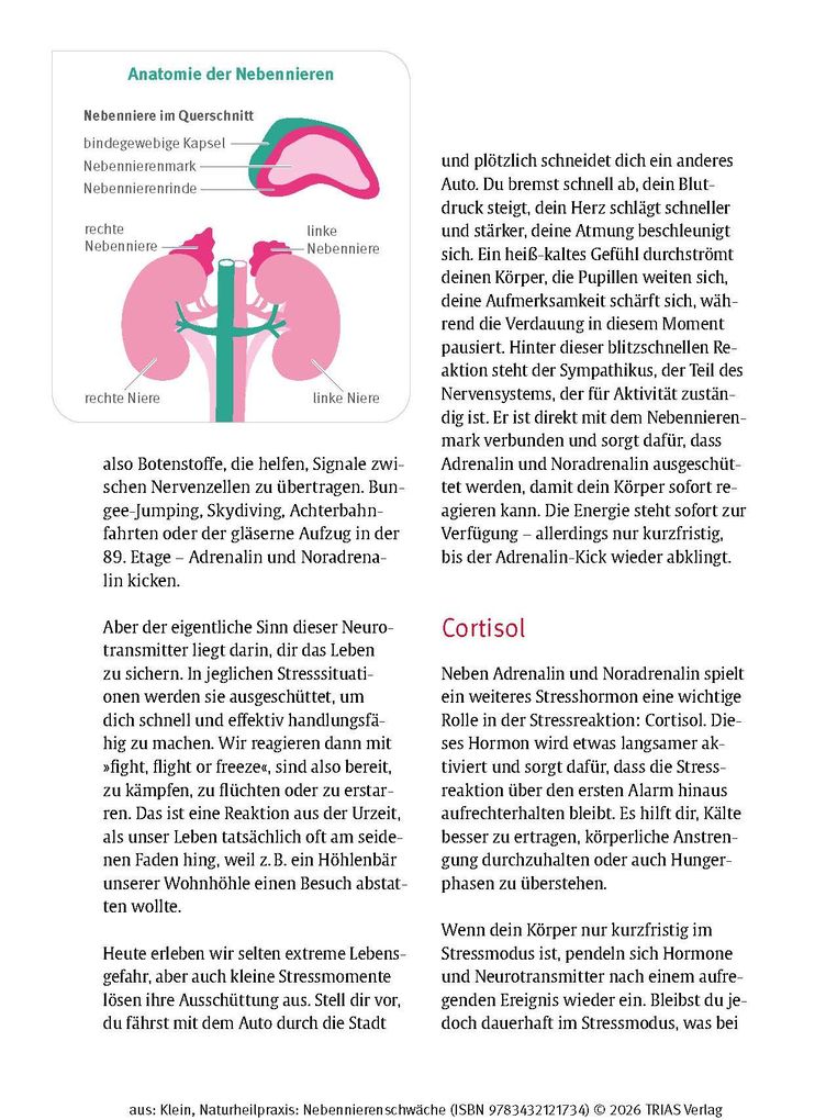 Weitere Ansicht: Naturheilpraxis Nebennierenschwäche | Diana Klein