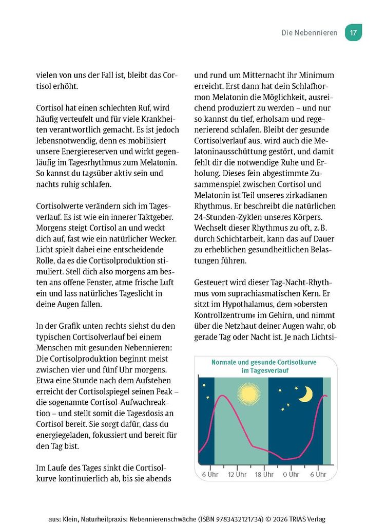Weitere Ansicht: Naturheilpraxis Nebennierenschwäche | Diana Klein
