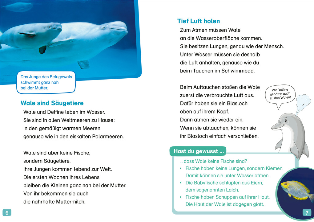 Weitere Ansicht: WAS IST WAS Erstes Lesen. Wale und Delfine | Christina Braun