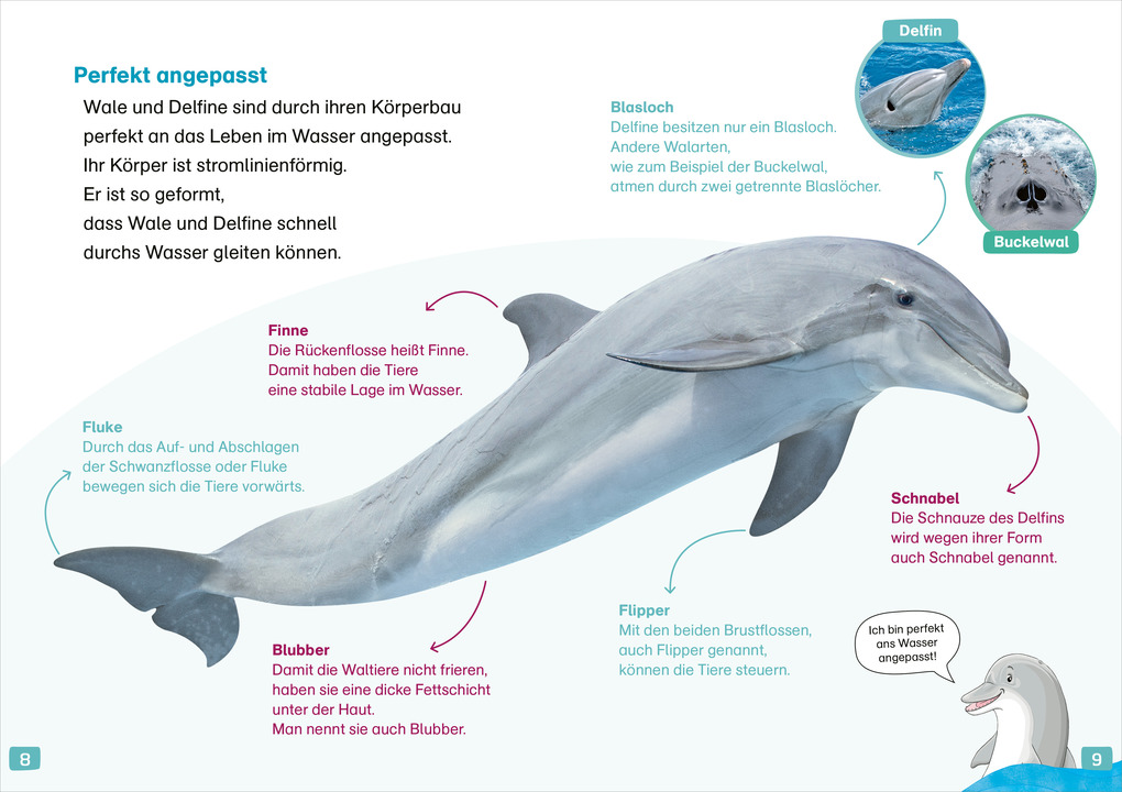 Weitere Ansicht: WAS IST WAS Erstes Lesen. Wale und Delfine | Christina Braun